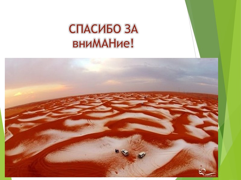 СПАСИБО ЗА      вниМАНие!